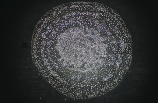 leitungswasser-bambergen-und-waterbalance.png?ts=1765197605