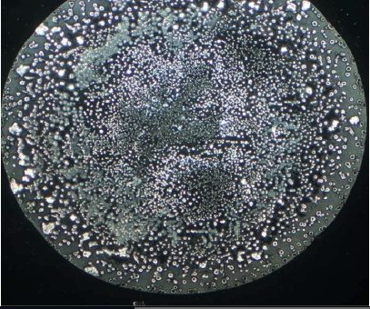 neutralprobe-leitungswasser-neubergen.png?ts=1765197605