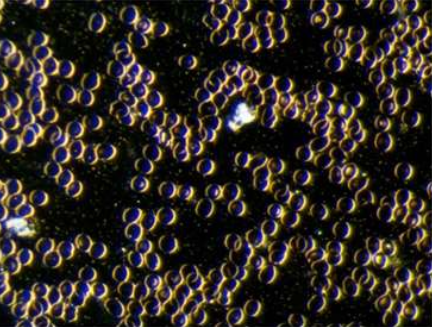 frau-85-jahre-mit-bodybalance.png?ts=1765185054