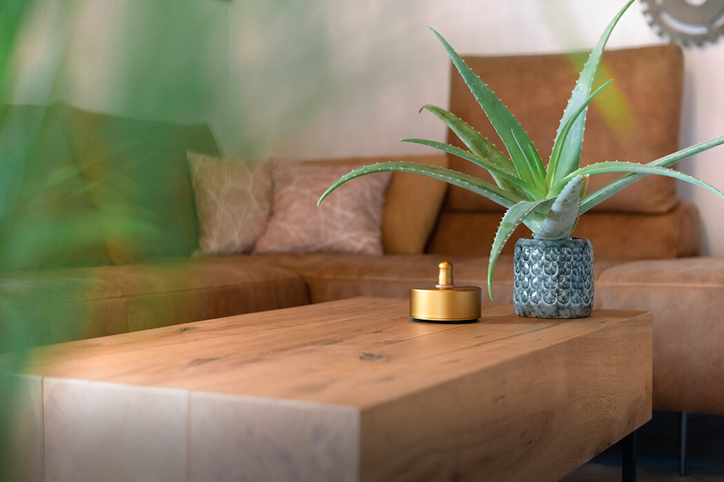 Der Quintalis Roombalance im Wohnbereich.